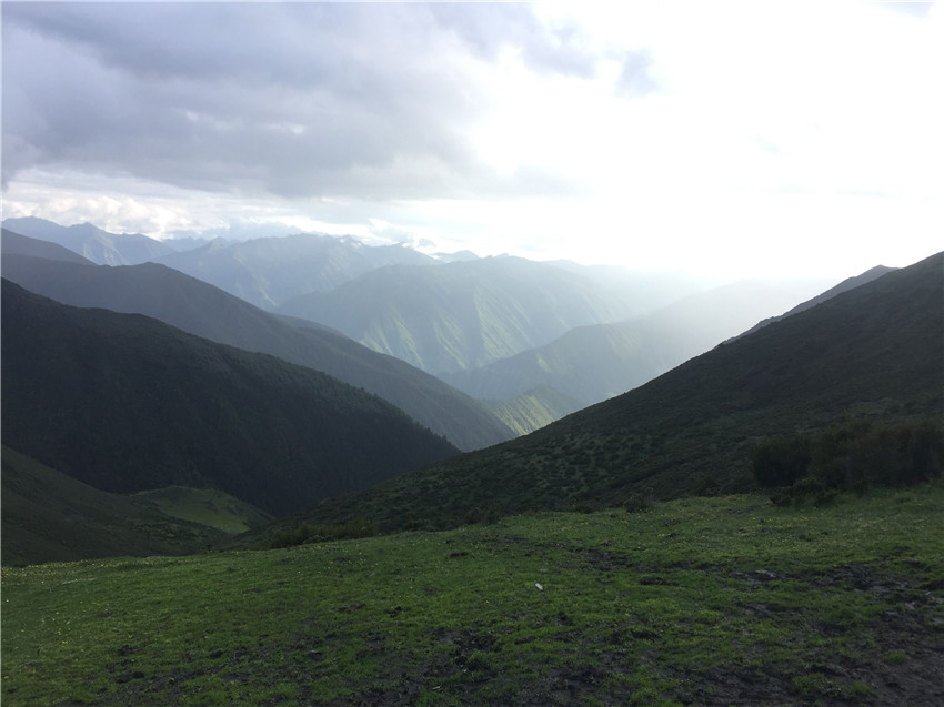 牧場遠(yuǎn)眺。.jpg