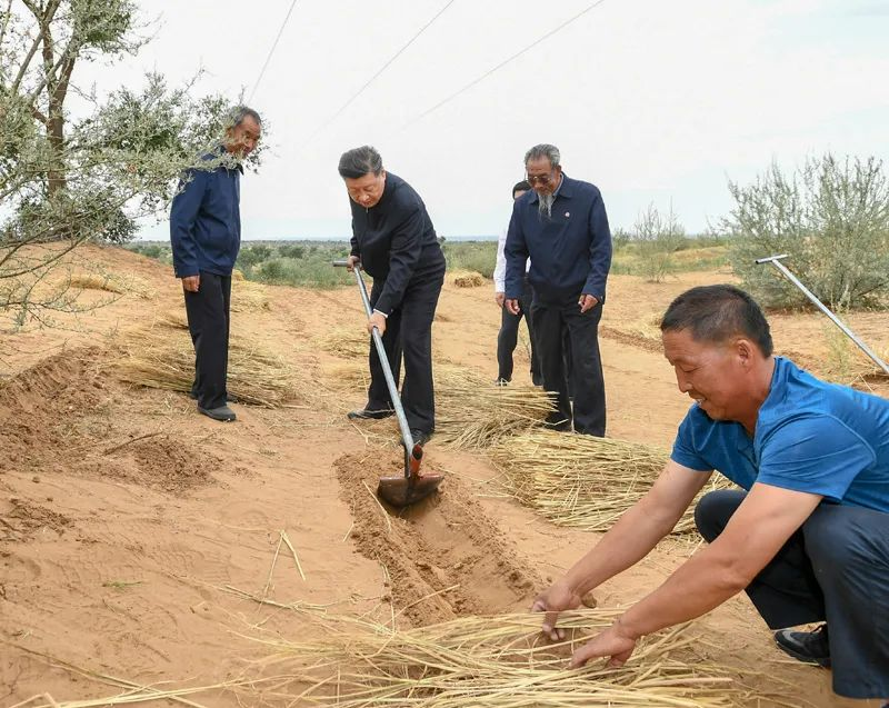 2019年8月21日，習(xí)近平來到甘肅省武威市古浪縣八步沙林場，實地察看當(dāng)?shù)刂紊吃炝帧⑸鷳B(tài)保護(hù)等情況。新華社記者 謝環(huán)馳 攝