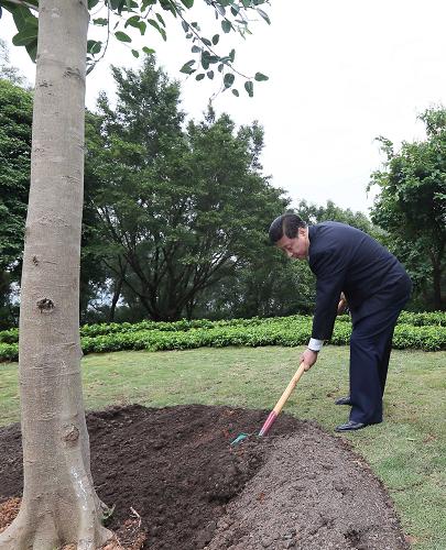 2012年12月7日至11日，習(xí)近平在廣東省考察工作。這是8日上午，習(xí)近平在深圳蓮花山公園種下一棵高山榕樹。新華社記者 蘭紅光 攝