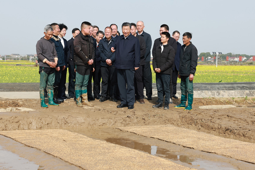 2024年3月18日至21日，中共中央總書記、國家主席、中央軍委主席習(xí)近平在湖南考察。這是19日下午，習(xí)近平在常德市鼎城區(qū)謝家鋪鎮(zhèn)港中坪村走進(jìn)田間，察看秧苗培育和春耕備耕進(jìn)展。新華社記者 王曄 攝
